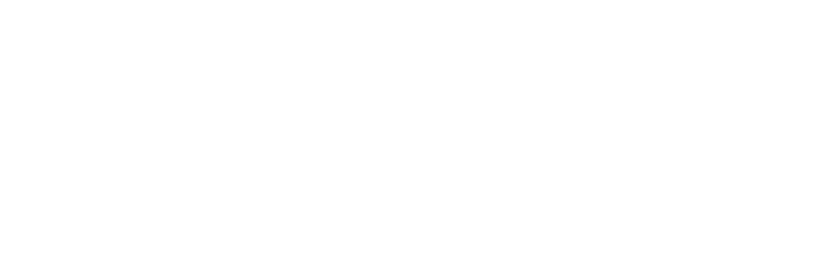 PROF-IT GROUP