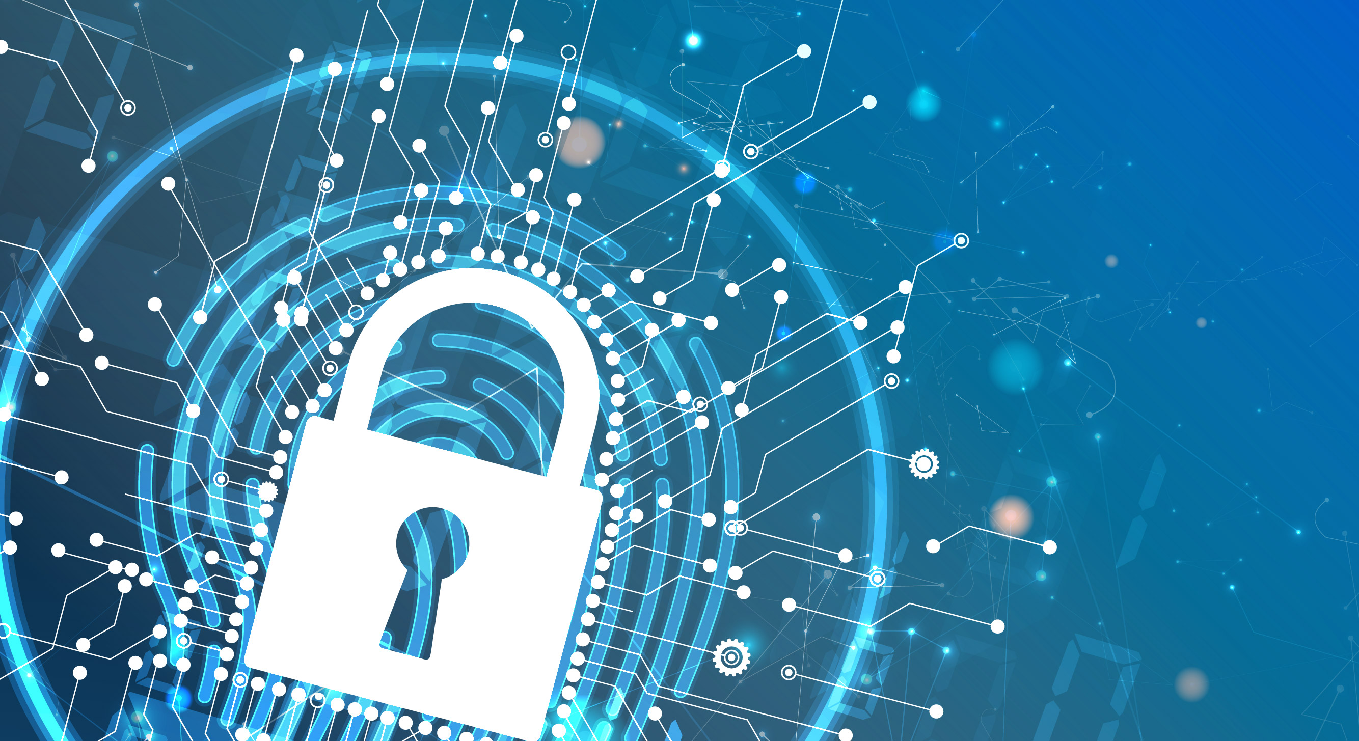Мошенничество в сети: как обезопасить свою компанию в Интернете? 